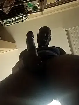 birdg live now