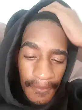 gemini_loops live now