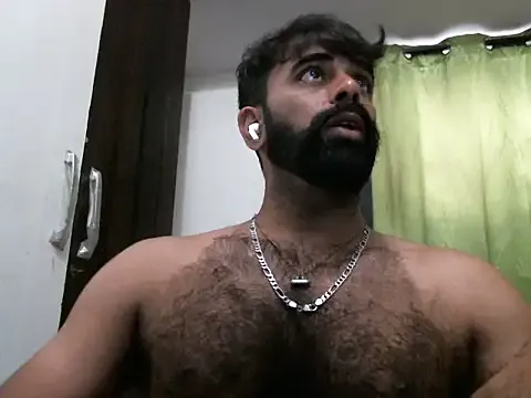 indianhairybull live now
