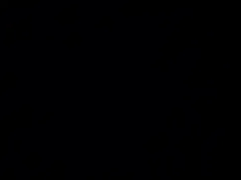 Mrkarizma Image 3