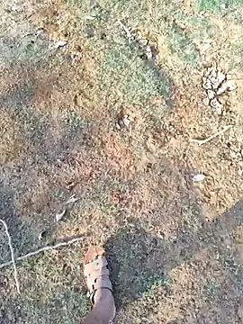 telugukurrodu29 Image 2