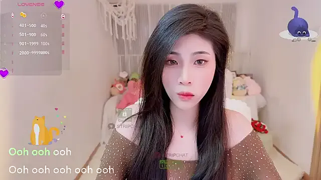 Vaidurya-Yolo Image 12