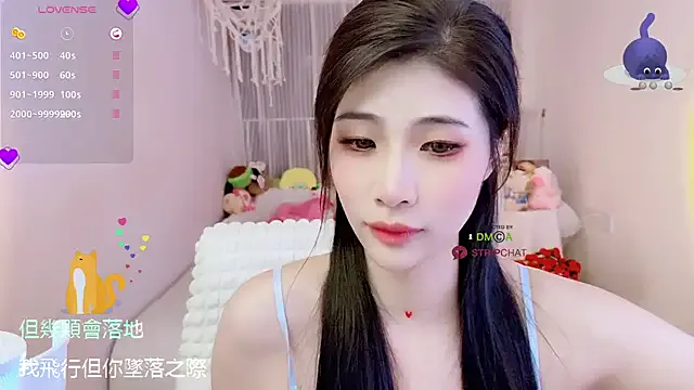 Vaidurya-Yolo Image 19